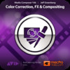 Course For Media Composer 6 106 - Color Correction FX & Compositing