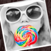 Colorful-This is the photo splash editing app that you just stroke the images, you can create stylish photo that is edited by the monochrome, mosaic, sepia filter! Let’s edit pictures of our album by this camera app!