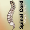 Spinal Cord Encyclopedia D