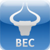 BEC Currency Converter