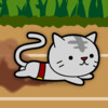 Cat Sliding