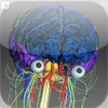 The Complete Human Brain PRO