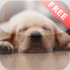 Dog and Puppy Sounds (FREE)