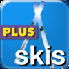 Snow Ski Shop Plus by Wonderiffic 