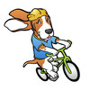 VeloHound, Bicycle and Roadway Safety Report App Sponsored