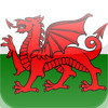 English-Welsh dictionary