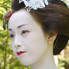 Amorous Maiko: Photo Collection