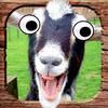 Flappy Goat