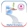 Higher Everyday