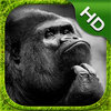 King Kong Simulator - HD