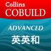 Collins COBUILD Advanced Dictionary of American English, English/Japanese