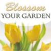 Blossom Your Garden with Flowers