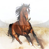 The Complete Horse & Pony Bible