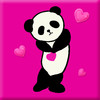 Panda Panda Wallpapers