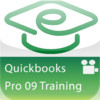 Learn QuickBooks Pro 2009