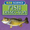 Fish Dissection