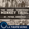 The Great Tennessee Monkey Trial (by Peter Goodchild)