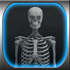 X-Ray Maker - Kids Game and More