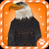 Virtual Pet Eagle