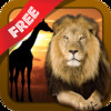 Free Shape Game Wildlife Photo - fun games for kids and toddlers