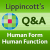 Human Form Human Function Q&A