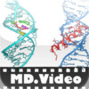 MDVideo: Biochemistry