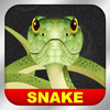 ClassicSnake for ipad