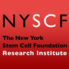 The NYSCF 2013 Conference