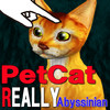 Abyssinian Petting Cat 3D Real