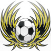 GreatApp - Wellington Phoenix Fan