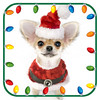 Christmas Animal Photo Booth