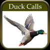 Duck Hunting Calls