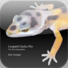 Leopard Gecko Pro