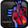 Anatomy Open Heart Info v2