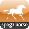 spoga horse (Herbst) 2013