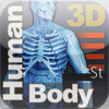 Human Body 3d St