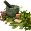 Medicinal Plants Pro