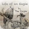 Life Begins EAGLE