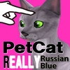 Russian blue Petting Cat 3D