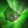 Fingerprint Security Pro