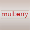 Mulberry - Austin Food, Wine & Bar