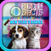 Hidden Objects - New Year's Animal Babies