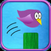 Splashy Bird - Tap to Flap Through the Piers