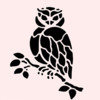 The Owl Shop