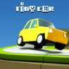 Tiny Car