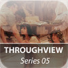 ThroughView05