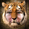 Tiger Me HD