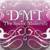 DMT The Spirit Molecule