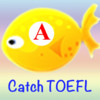 Catch TOEFL Words