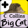 Collins Big Cat: It Was a Cold, Dark Night Story Creator